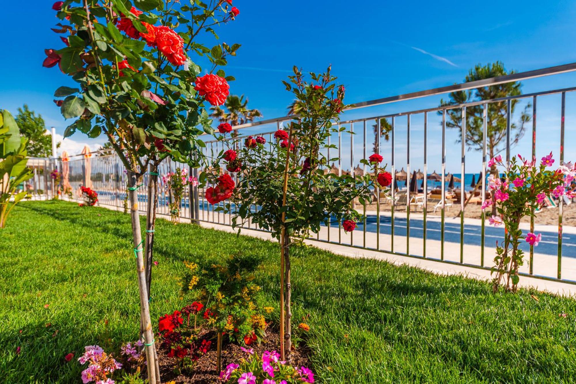 Sea View Apartments Eldo Дуррес Экстерьер фото